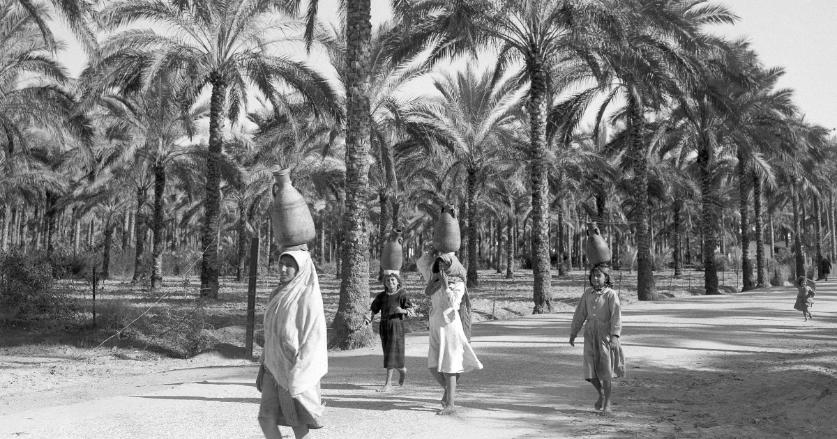 The Hawaii of Israel: How Trump legitimised a longstanding Israeli vision | Israel-Palestine conflict