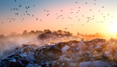 Bioreactors with emission-eating bacteria could help combat climate change