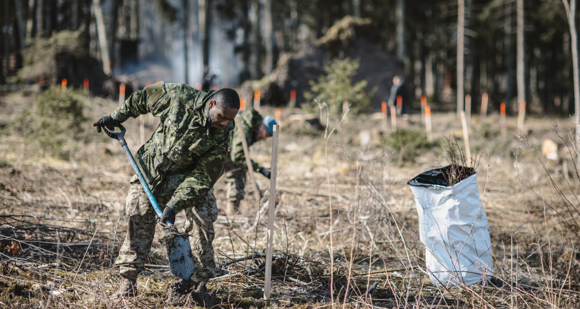 "Sargs.lv" reportāža: Sabiedrotie "Airītēs" iestāda 600 liepas, lai līdzsvarotu militārās attīstības ietekmi uz dabu