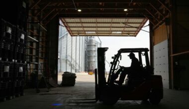 Trade war hits Minnesota soybean farmers
