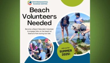 Love science and Puget Sound? Volunteer to be a Beach Naturalist with Burien's Environmental Science Center this Summer