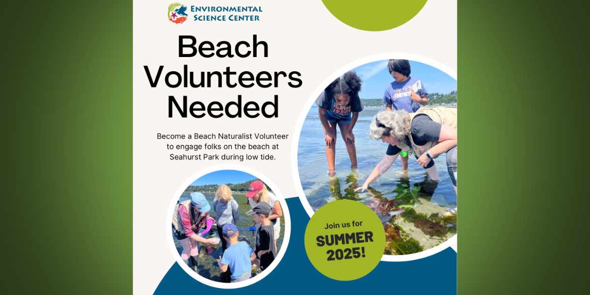 Love science and Puget Sound? Volunteer to be a Beach Naturalist with Burien's Environmental Science Center this Summer