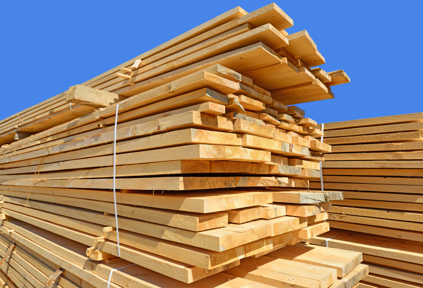 Exports of lumber from Finland to Algeria grow 43% in February