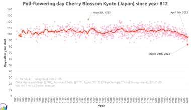 Kyoto full flowering day Cherry Blossom since year 812