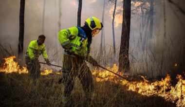Twee natuurbranden in België op warmste 12 april ooit gemeten