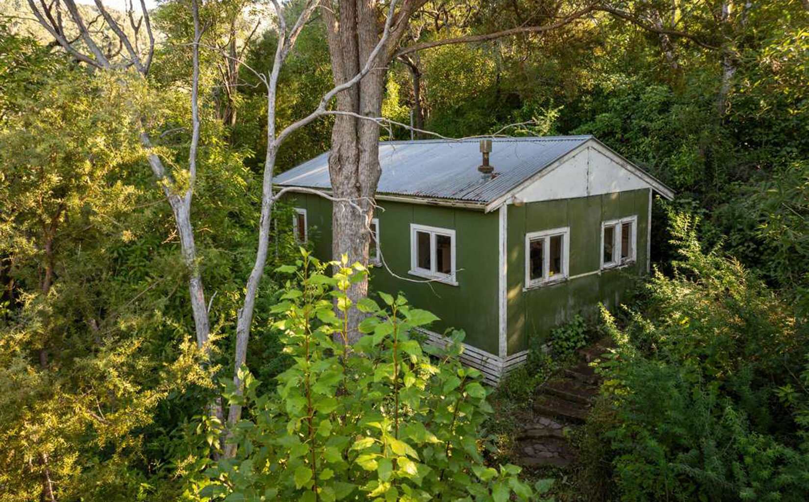 Shack owned by one of New Zealand’s ‘most influential artists’ is up for auction
