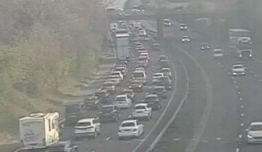 Boy, 14, dies in motorway horror crash as van smashes into tree