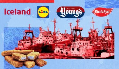 Iceland and Birds Eye among firms selling Russian fish 'funding Putin's war machine'