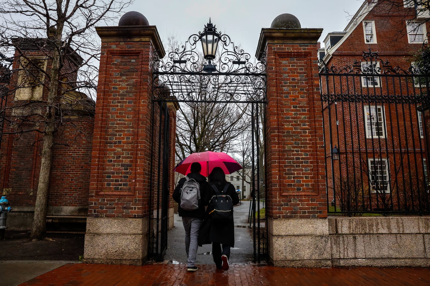 Harvard must also offer its “full cooperation” with the US Department of Homeland Security, the letter says.