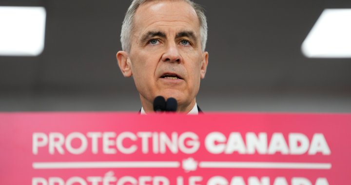 Carney unveils new ‘Canada Strong Pass.’ What free perks are available? - National
