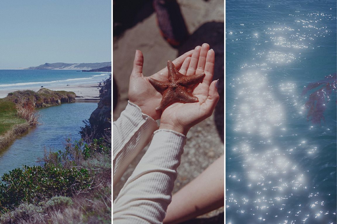 An inlet on the coast of Santa Rosa Island; pair of hands holding a burnt orange starfish; Sihmmering water off of the coast of Santa Rosa Island