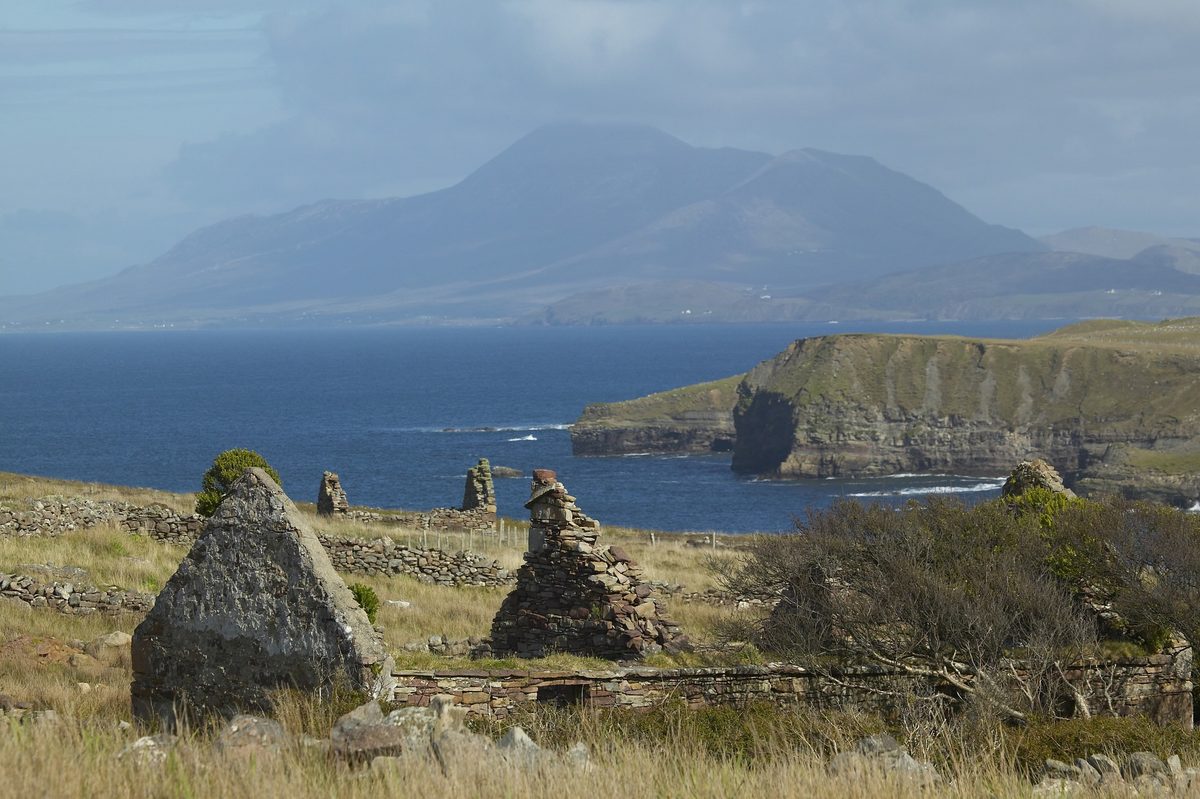 Snake found in Ireland for first time ever as fisherman stumbles upon strange whistling serpent on small island