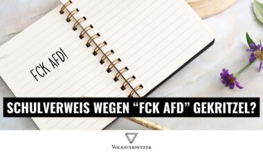 Grundschüler in Sachsen: Verweis nach „FCK AFD“-Doodle
