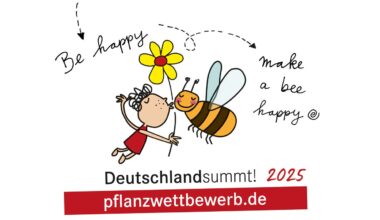 Pflanzwettbewerb startet – Gartenprojekte für mehr Biodiversität gesucht