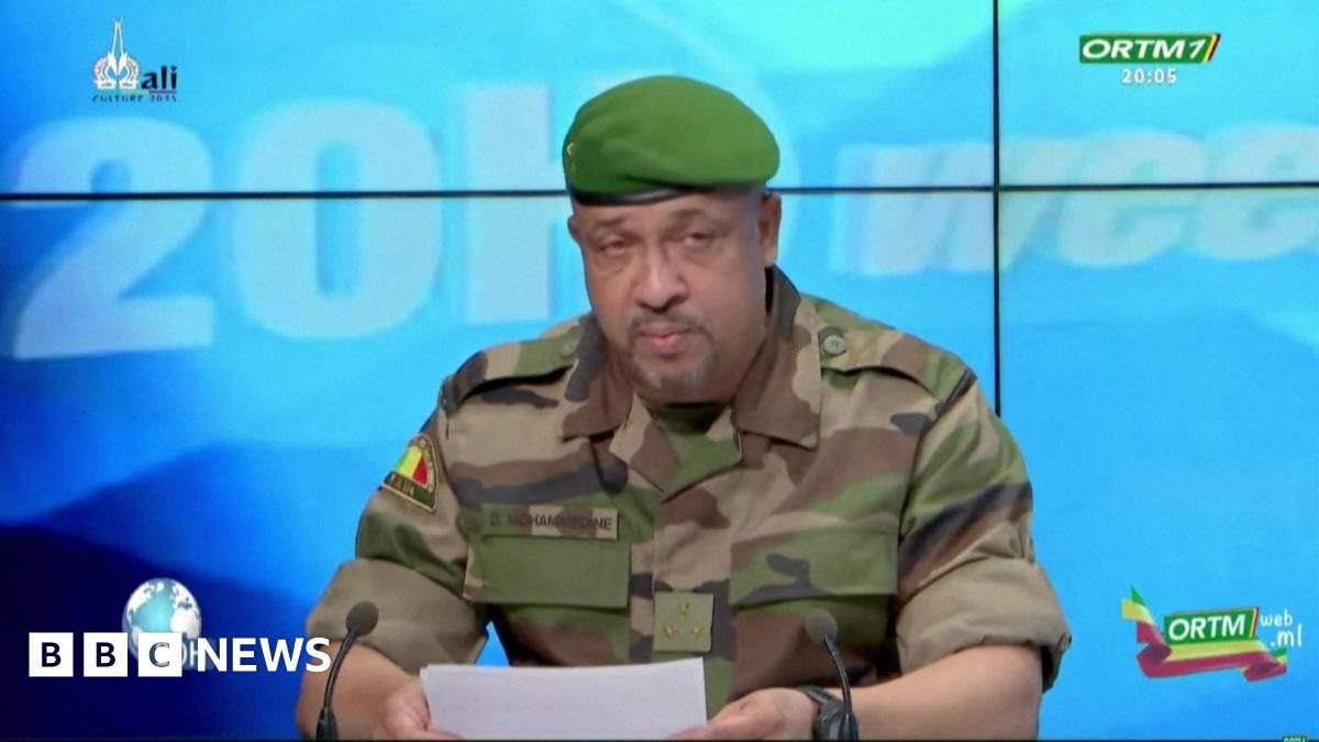Algeria blocks flights from Mali after drone shot down
