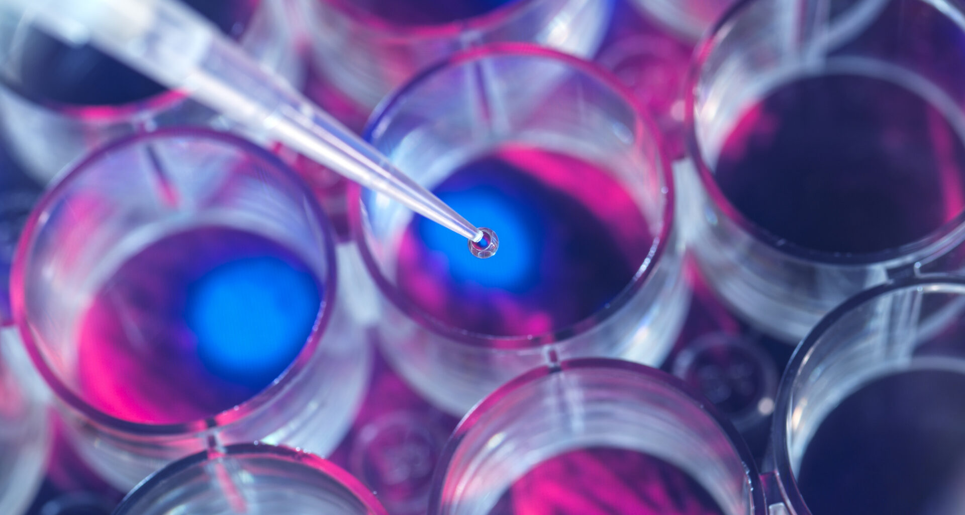Denmark pushes for EU strategic investment in life sciences
