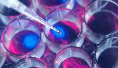 Denmark pushes for EU strategic investment in life sciences