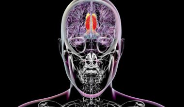 Scientists Think They’ve Found the Region of the Brain That Regulates Conscious Perception