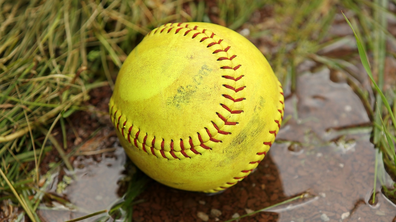 Science Park over Newark Central - Softball recap