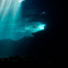 Researchers dropped a camera into the depths below, but what they found was not what they expected.