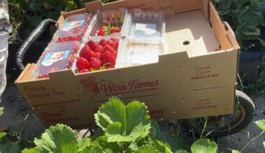 Bay area farm receives award for environmental efforts