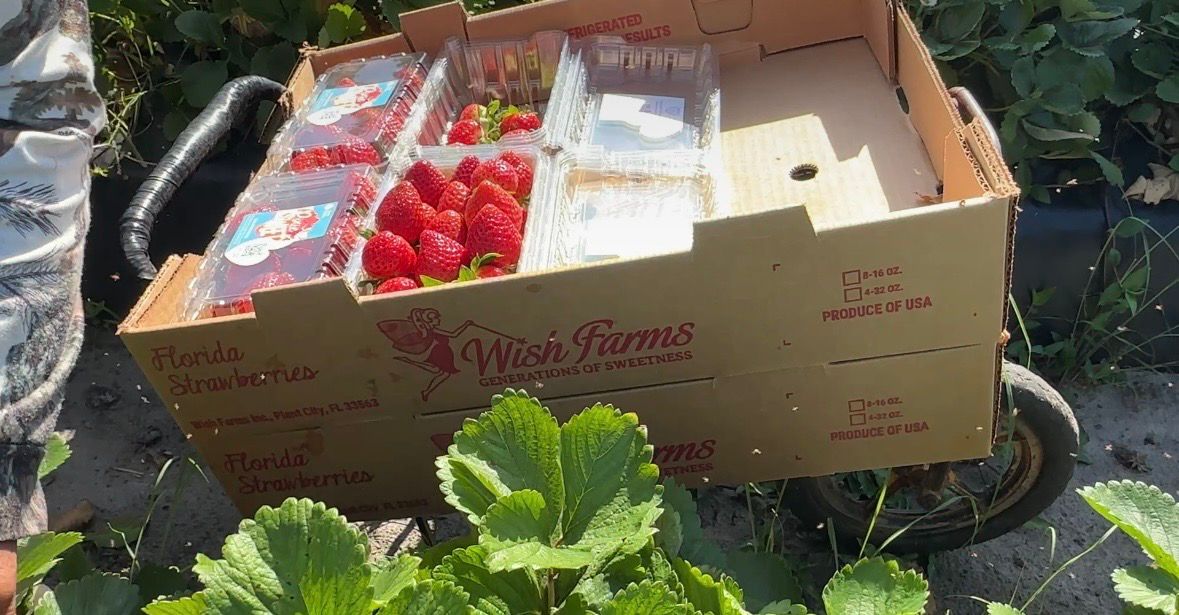 Bay area farm receives award for environmental efforts