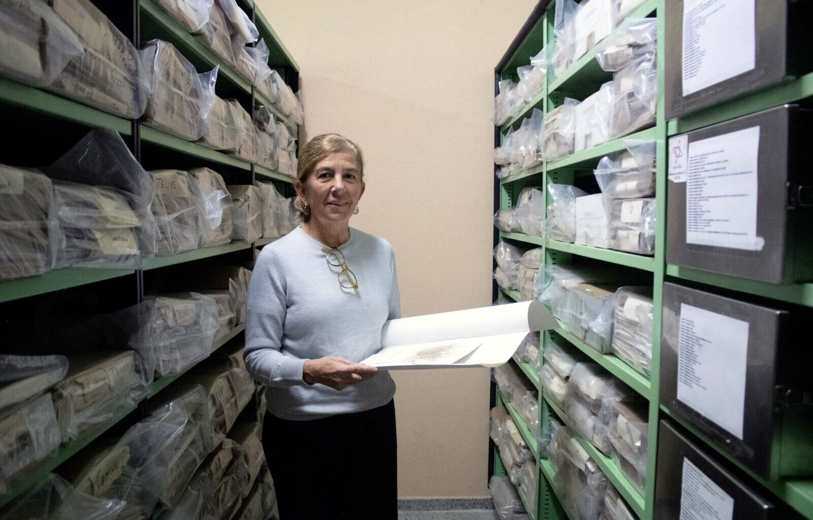 El Herbario TFC de la Universidad de La Laguna cuenta con más de 130.000 muestras - ULL