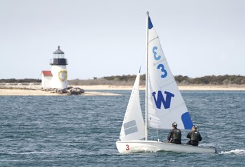 IMG 7279 2