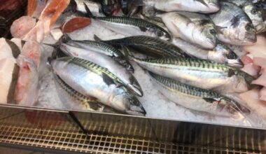 Trump's tariffs on seafood 'absurd'