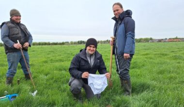 Environnement : le "test du slip", une expérience ludique pour analyser la biodiversité du sol