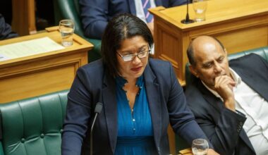 Labour doesn’t support Te Pāti Māori policy for Māori to get NZ Super at earlier age