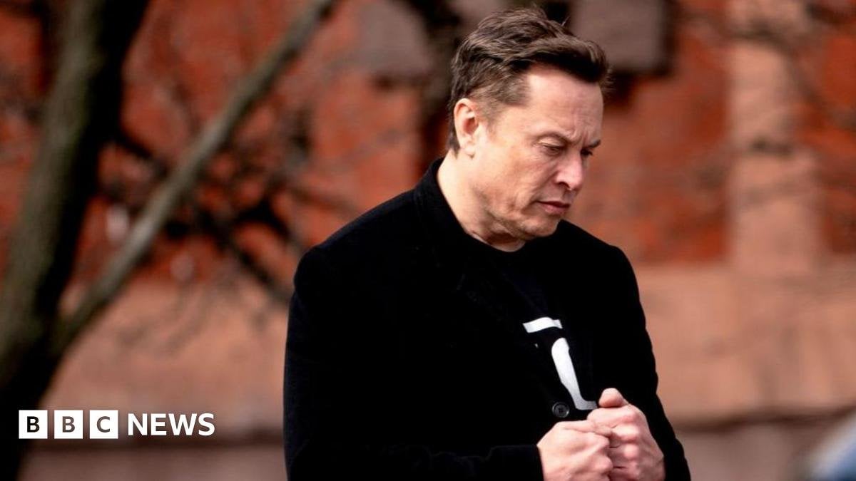 Tesla sales plunge after Elon Musk backlash