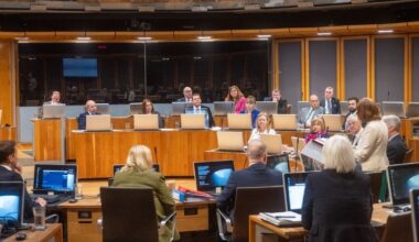 'Significant percentage could use Senedd election to cast protest votes'