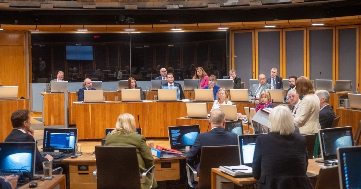 'Significant percentage could use Senedd election to cast protest votes'