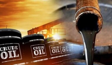 Crude Oil Flow Improvers Market
