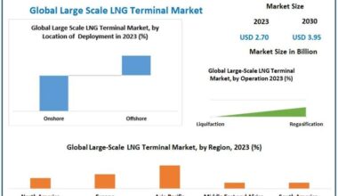 Large Scale LNG Terminal Market