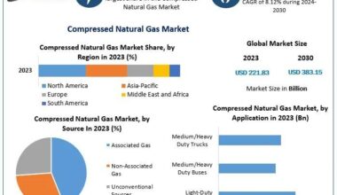 Compressed Natural Gas (CNG) Market