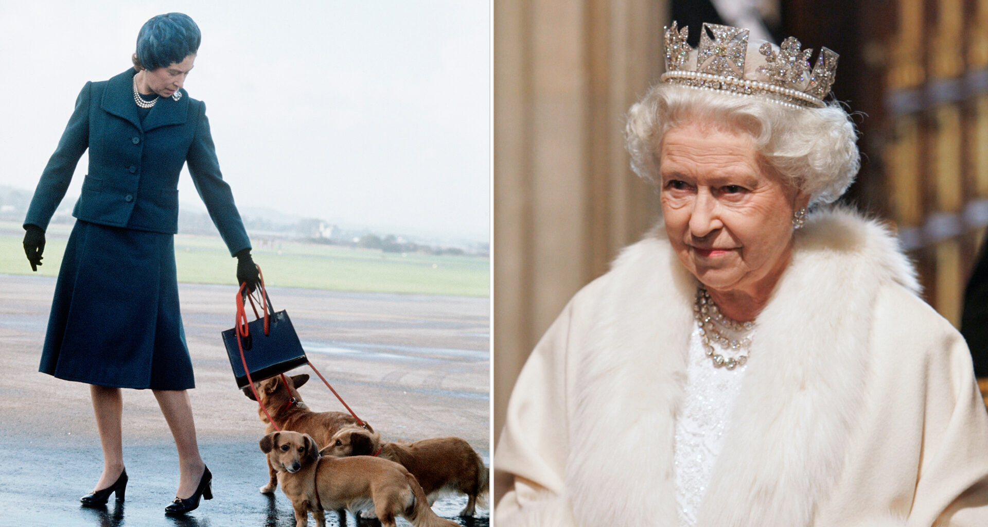 Queen Elizabeth walking her corgis, and wearing a giant crown