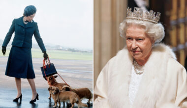 Queen Elizabeth walking her corgis, and wearing a giant crown