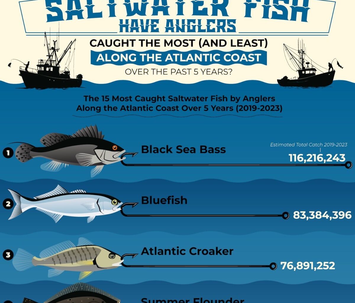 Which Saltwater Fish Have Anglers Caught the Most (and Least) Along the Atlantic Coast Over the Past 5 Years?