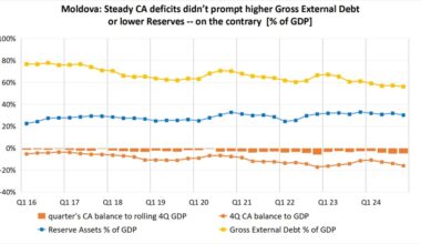 bne IntelliNews - Moldova’s current account deficit hits 16% of GDP in 2024, but BoP correction cannot be avoided