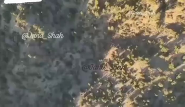 Pakistan uses quadoptor drones to foil infiltration attempt
