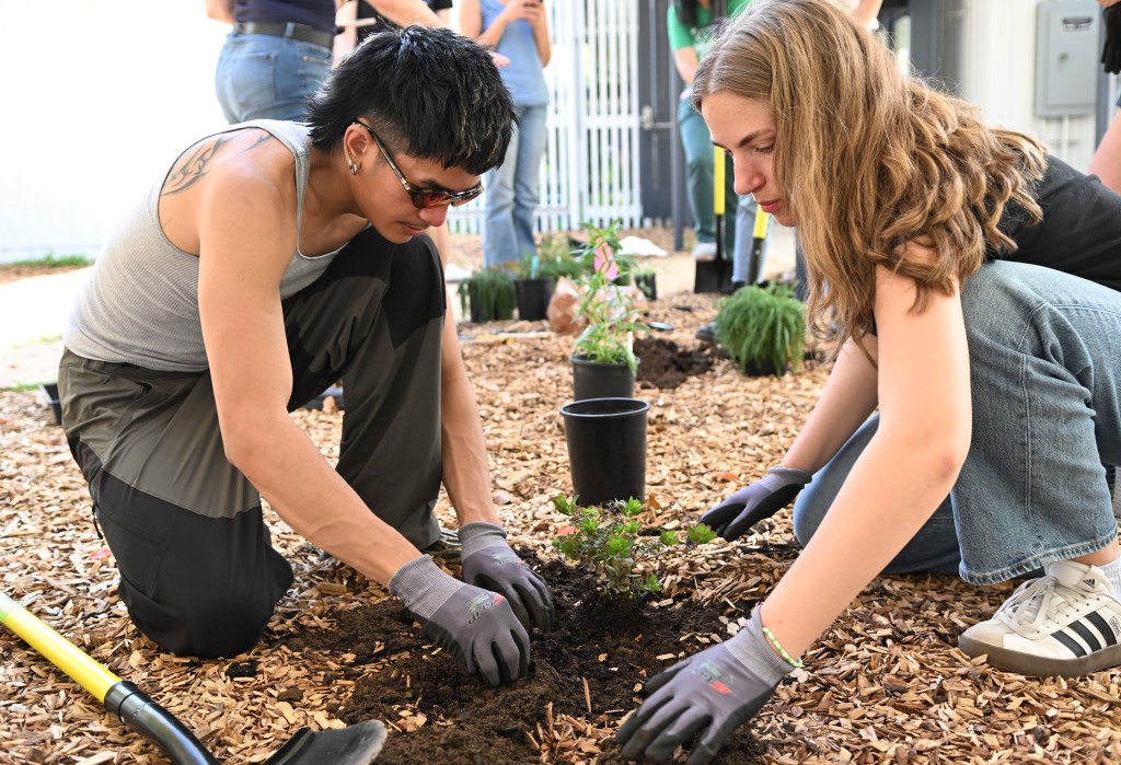 Novato school programs cultivate environmental stewardship
