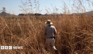 Zimbabwe makes first compensation payments to white farmers over land grabs