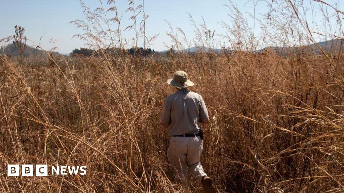 Zimbabwe makes first compensation payments to white farmers over land grabs