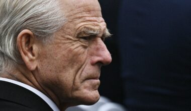 Elon Musk calls Trump's top trade adviser, Peter Navarro, a 'moron' and 'dumber than a sack of bricks'