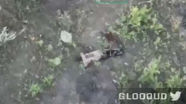 Russian soldier commits suicide with his rifle after being hit with a Ukrainian drone-dropped grenade, April 2025