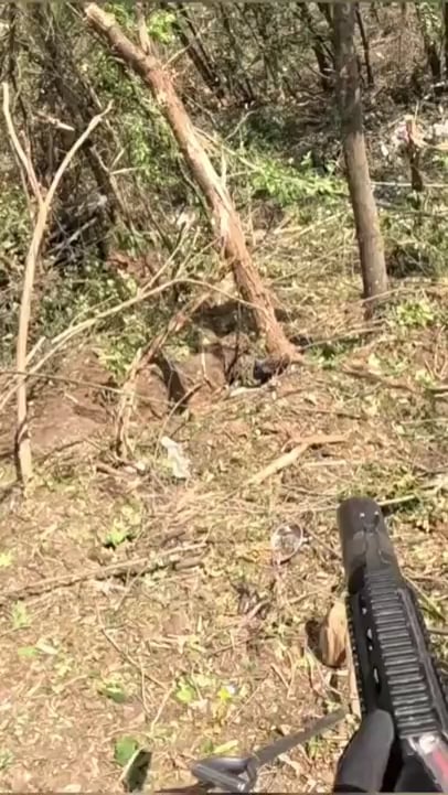 Enemy visible, Ukrainian soldier takes out enemy infantry in the treeline - 2023