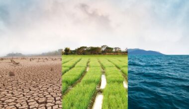 Nature scenarios: What changing environmental risks mean for businesses