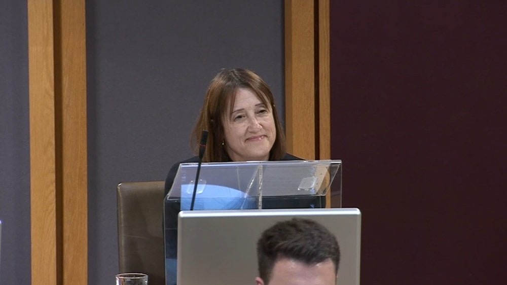 Lib Dem MS Jane Dodds says Welsh independence would make Brexit look like 'walk in the park'